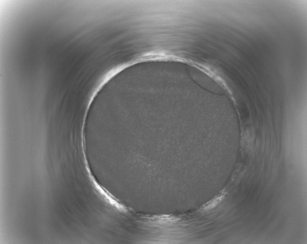 X0000054461239200508051942