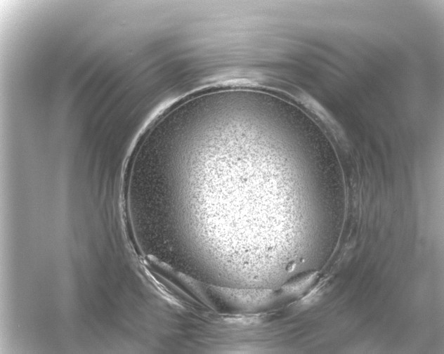 X0000054461240200508051942