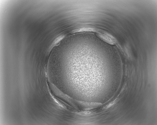 X0000054461241200508051942