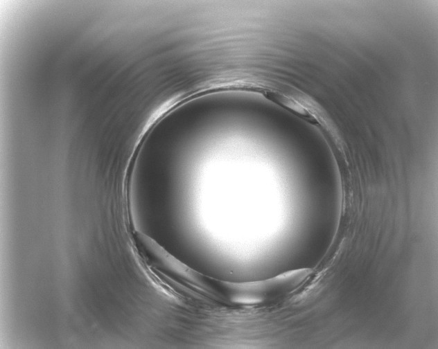 X0000054461242200508051942