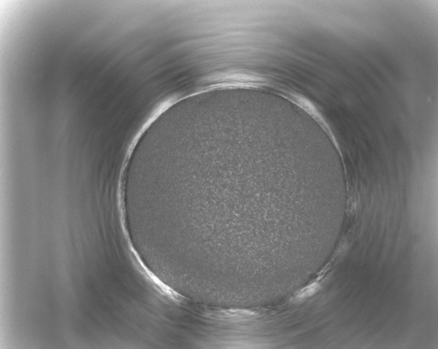 X0000054461243200508051942