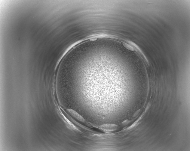 X0000054461244200508051942