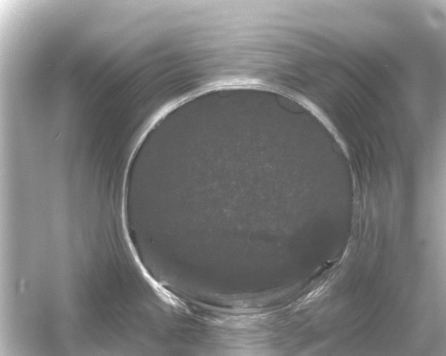 X0000054461245200508051942