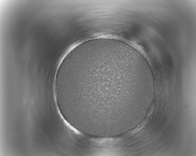 X0000054461247200508051942