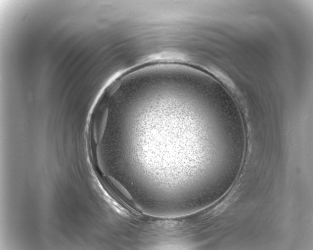 X0000054461248200508051942