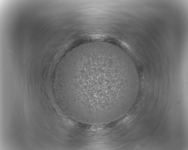 X0000054461249200508051942