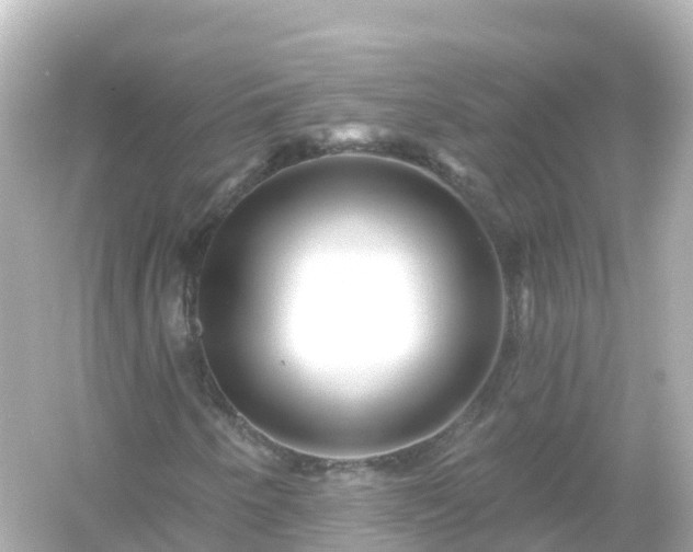 X0000054461250200508051942