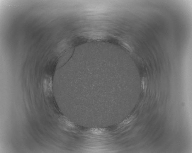 X0000054461251200508051942