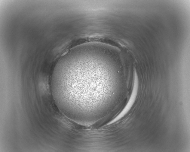 X0000054461252200508051942