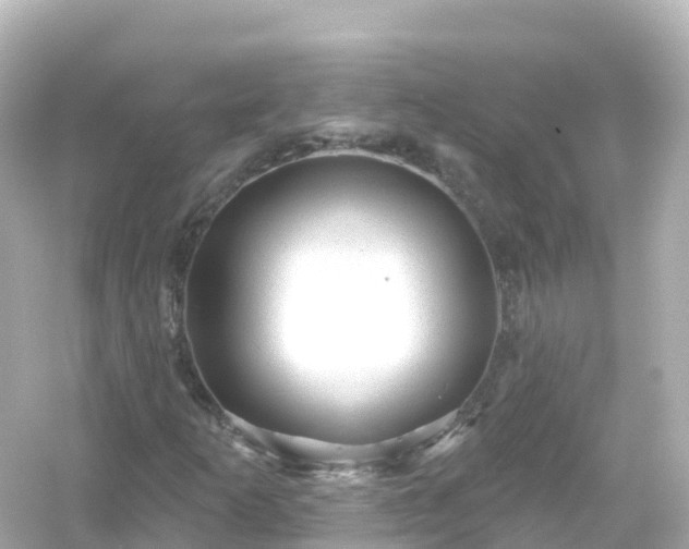 X0000054461253200508051942