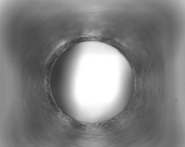 X0000054461254200508051942