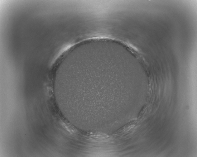 X0000054461255200508051942