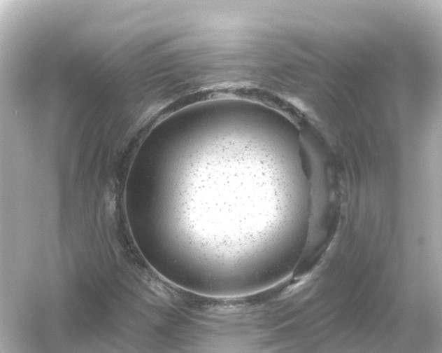 X0000054461257200508051942