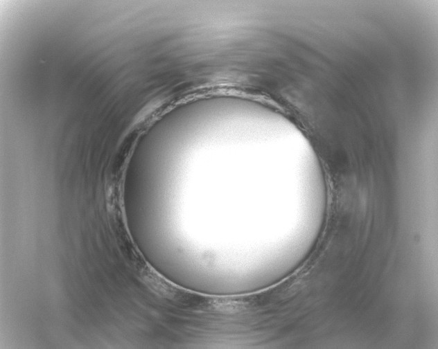 X0000054461258200508051942