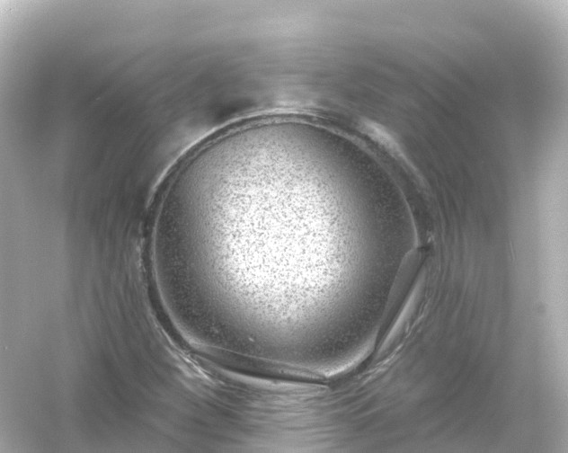 X0000054461260200508051942