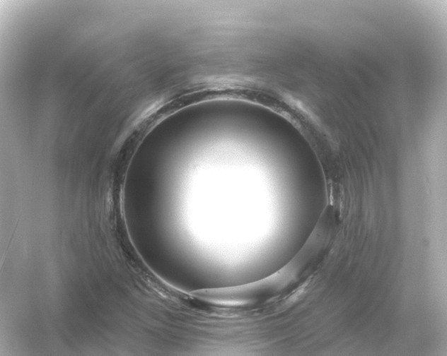 X0000054461261200508051941