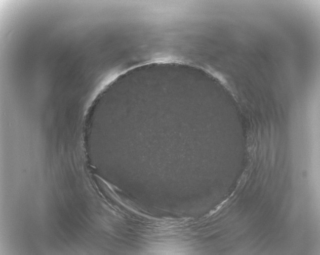 X0000054461263200508051941