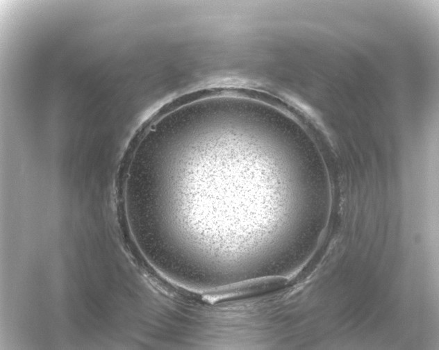 X0000054461264200508051941