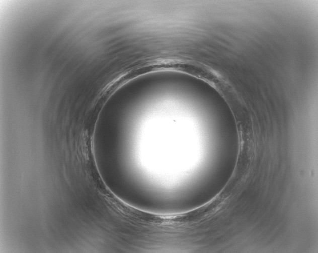 X0000054461265200508051941