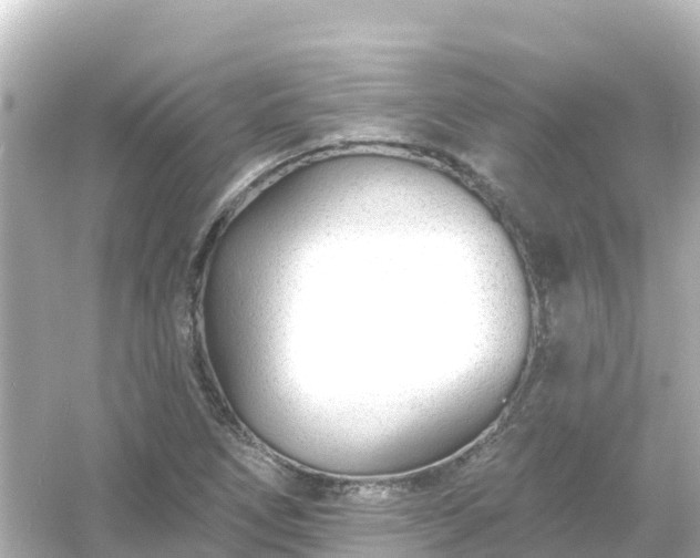 X0000054461266200508051941