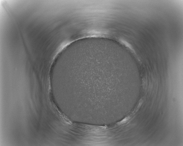 X0000054461267200508051941