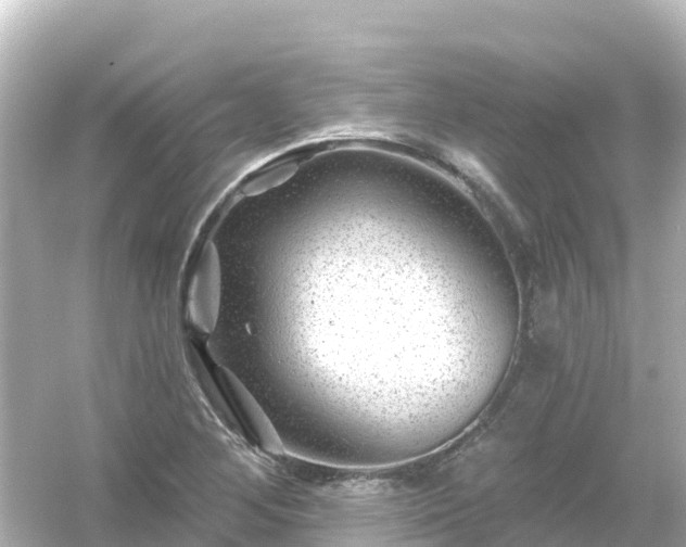 X0000054461268200508051941