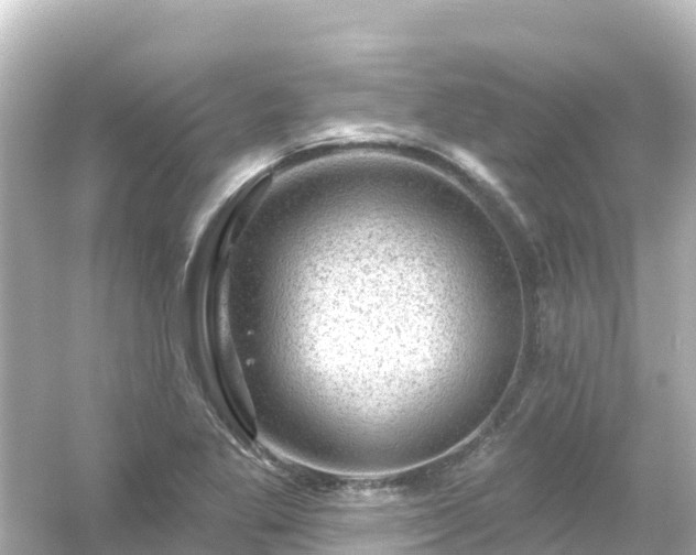 X0000054461269200508051941