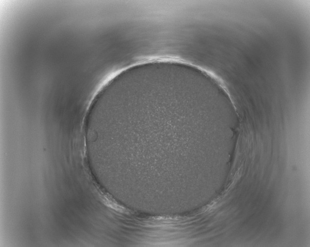 X0000054461271200508051941