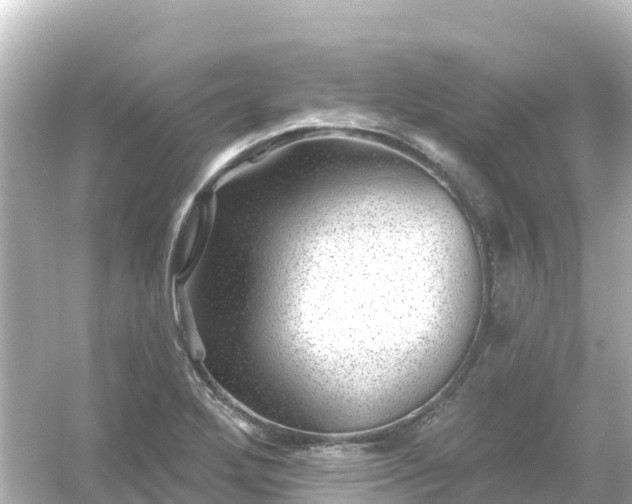 X0000054461272200508051941