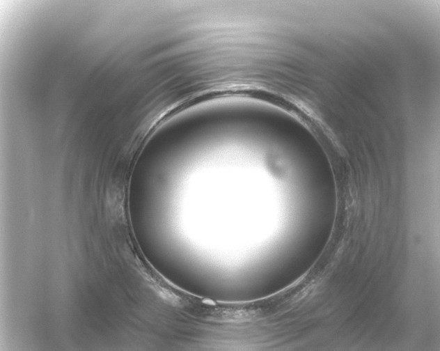 X0000054461273200508051941