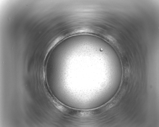 X0000054461274200508051941