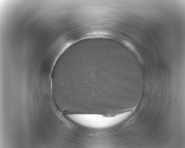 X0000054461275200508051941