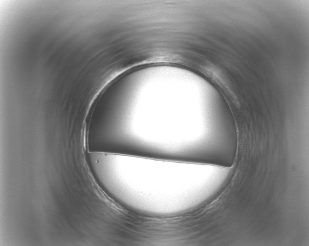 X0000054461276200508051941