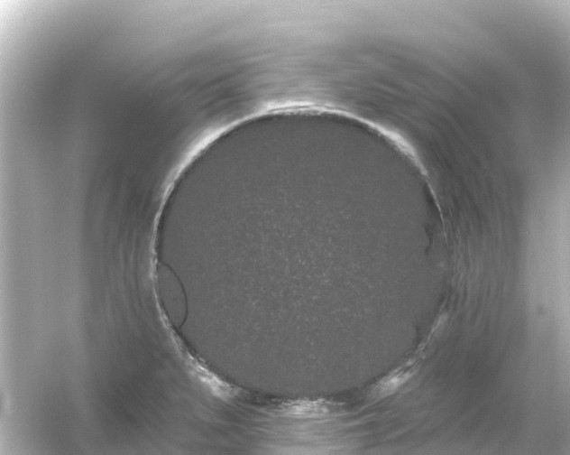 X0000054461279200508051941