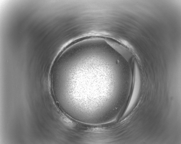 X0000054461280200508051941