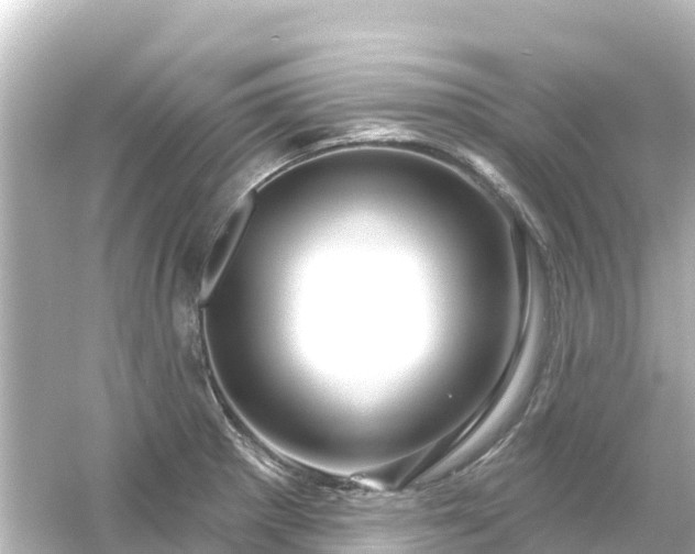 X0000054461281200508051941