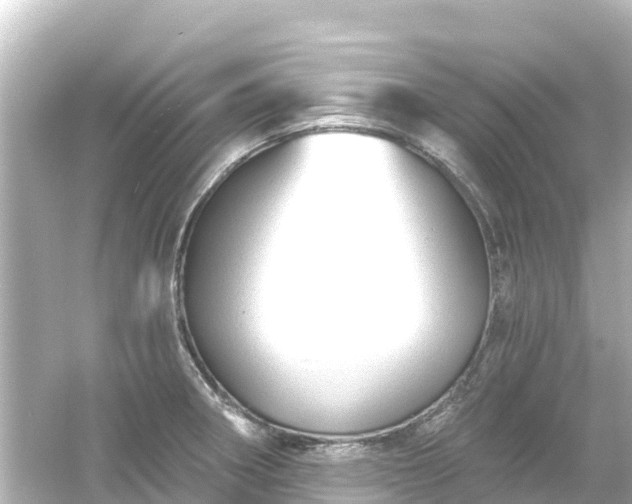 X0000054461282200508051941