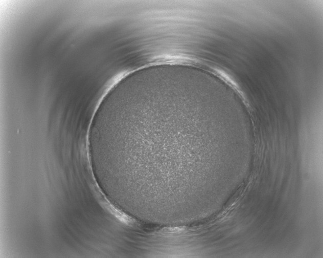 X0000054461283200508051941