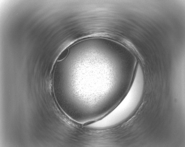 X0000054461284200508051941