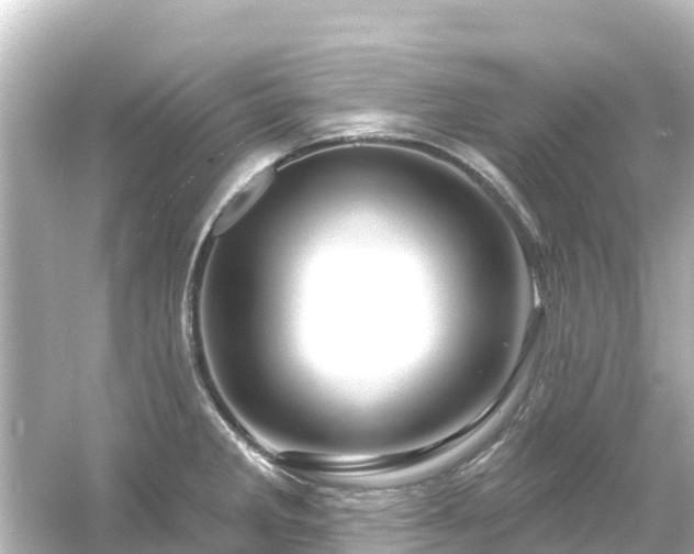 X0000054461285200508051941