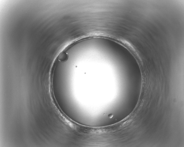 X0000054461286200508051941