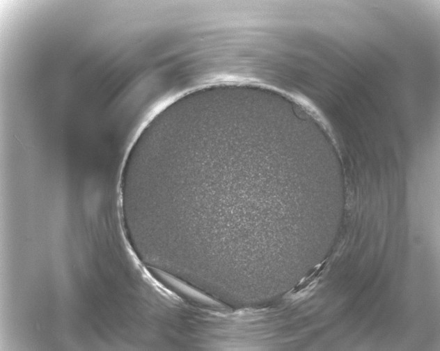 X0000054461287200508051941