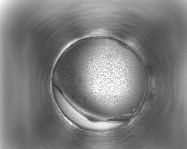 X0000054461288200508051941