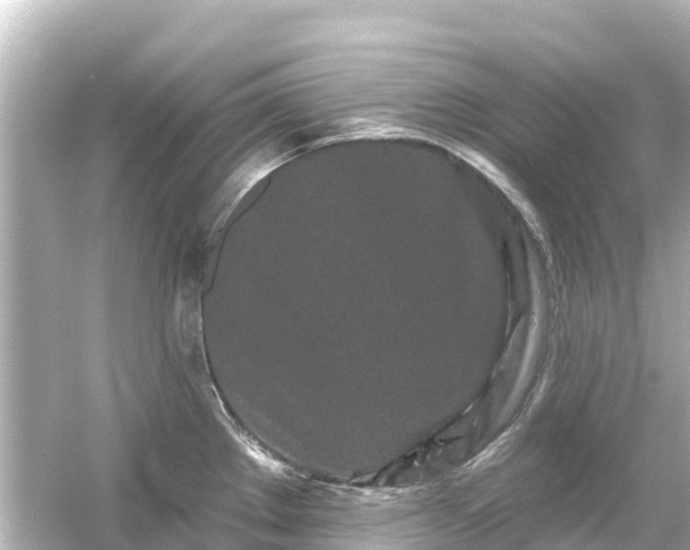 X0000054461289200508051941