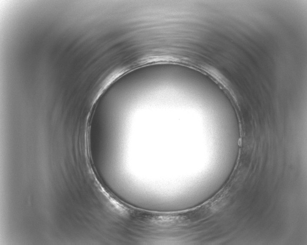 X0000054461290200508051941