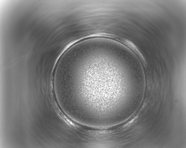 X0000054461292200508051941