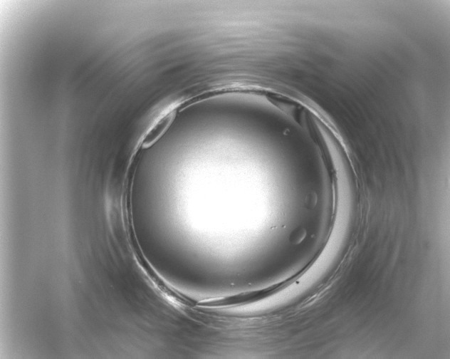 X0000054461293200508051941