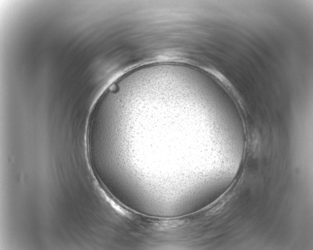 X0000054461294200508051941