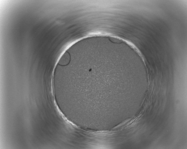 X0000054461295200508051941