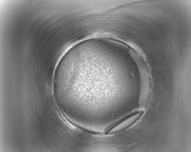 X0000054461296200508051941